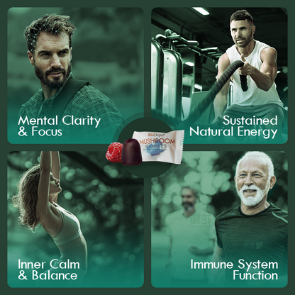 Mushroom Gummies with Mega Lion’s Mane, Cordyceps & Reishi 24 in 1 Supplement Natural Brain Focus, Memory & Energy Support Coffee Alternative for Mental Clarity & Immune System,Relieve Fatigue & Build Emotional Resilience