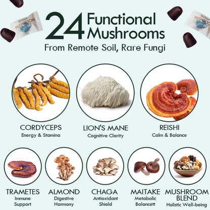 Mushroom Gummies with Mega Lion’s Mane, Cordyceps & Reishi 24 in 1 Supplement Natural Brain Focus, Memory & Energy Support Coffee Alternative for Mental Clarity & Immune System,Relieve Fatigue & Build Emotional Resilience